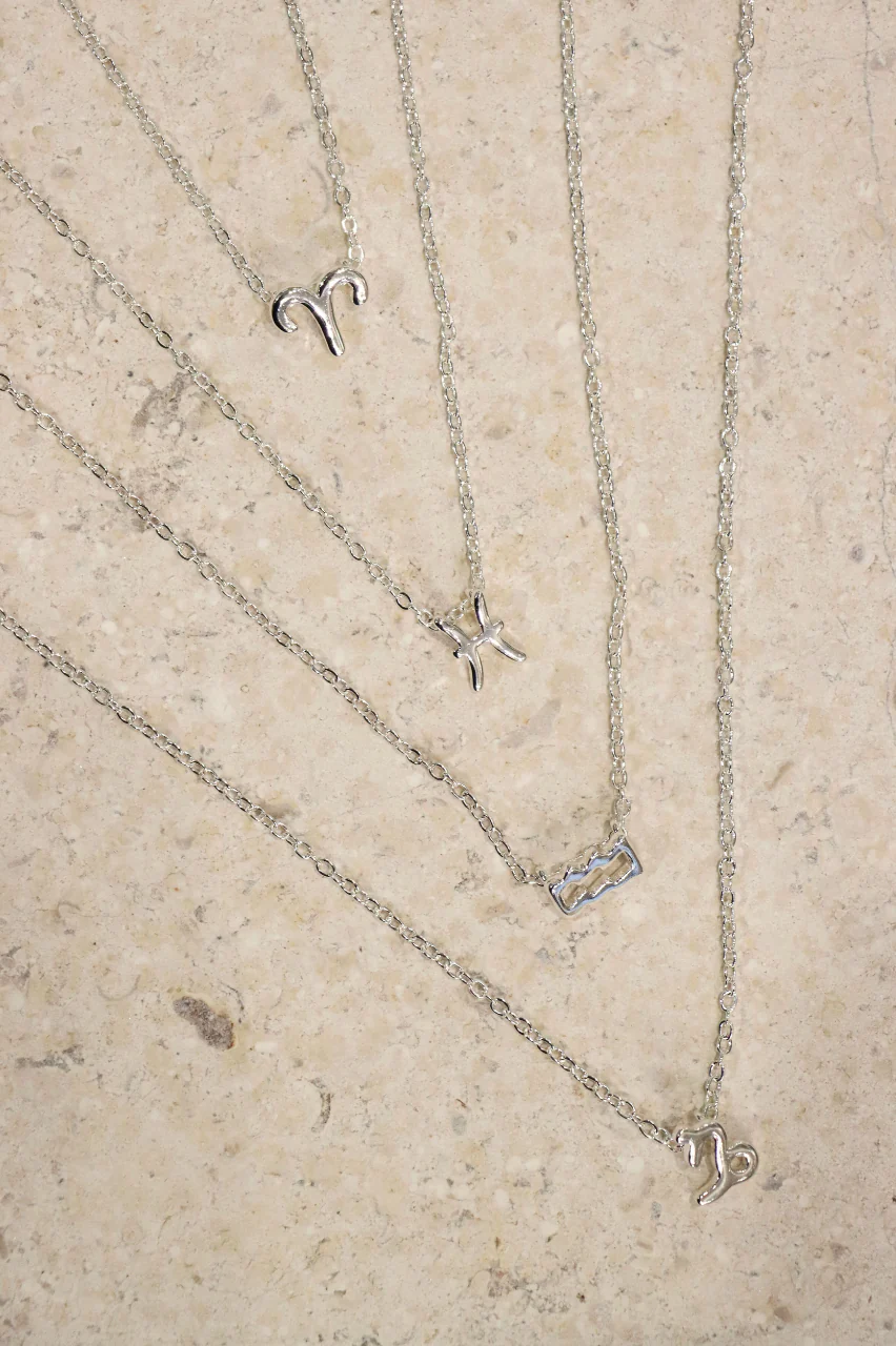 Zodiac Necklace - Silver - Image 4